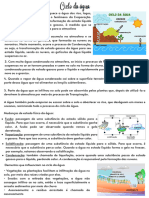 Revisão Ciências 