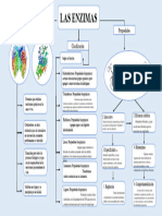 Mapa Conceptual de Las Enzimas 6