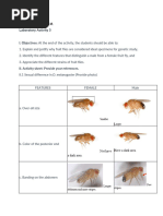 Laboratory Activity 3 Variations in Drosophila Melanogaster