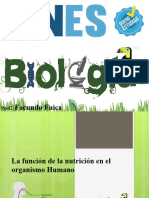 Clase de Biologia Sistema Digestivo