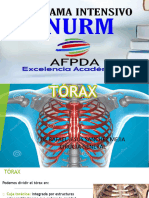 3 - Torax - Anatomia