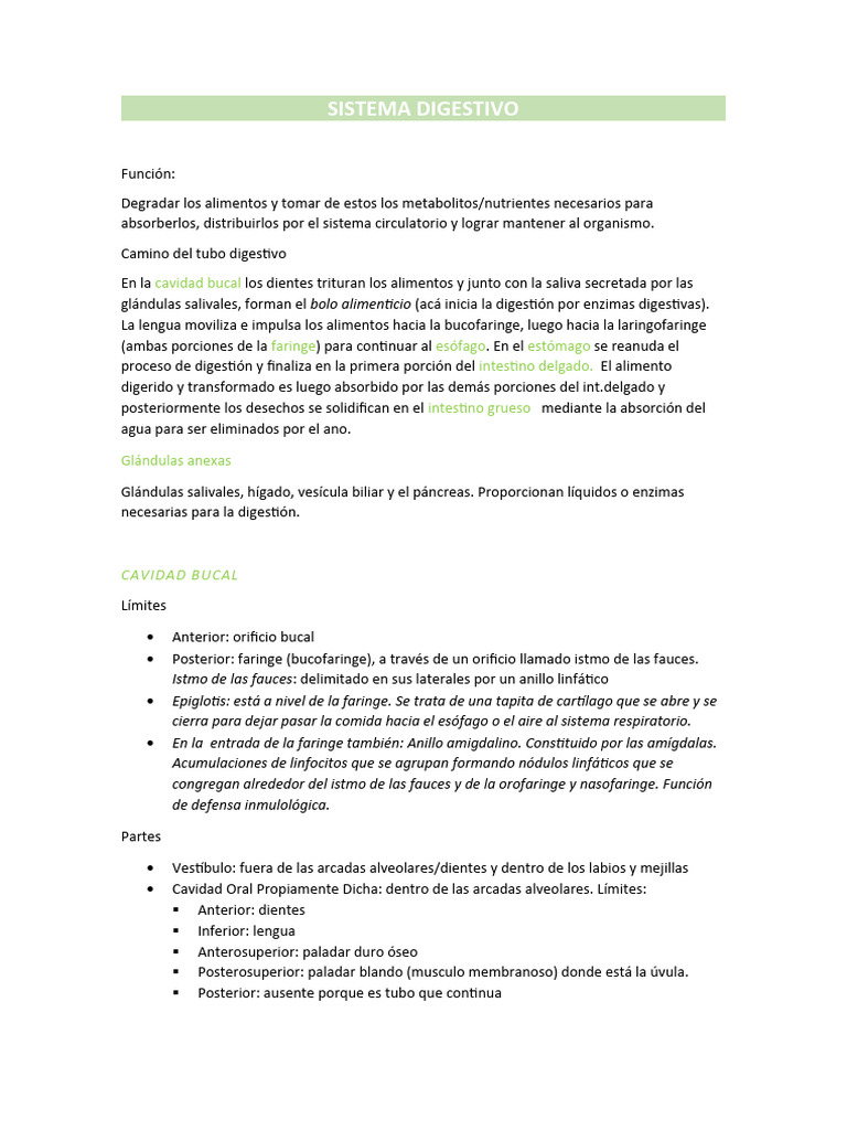Sistema Digestivo Pdf Sistema Digestivo Humano Digestión