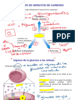 Clase Glucólisis TMed 202320