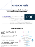 Gluconeog%C3%A9nesis 2023