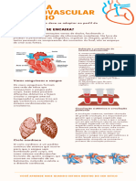 Sistema Cardiovascular Humano: em Qual Você Se Encaixa?