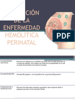 Prevención de La Enfermedad Hemolítica Perinatal (4651)