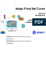 Matematica Trabajo Final