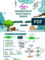 F5C1 Plant Organisation (NOTES)
