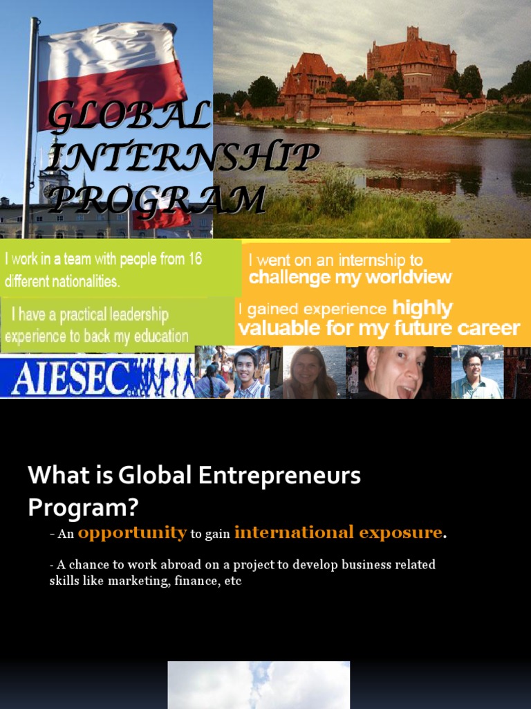 Job Roles For GEP | PDF | Entrepreneurship | Internship