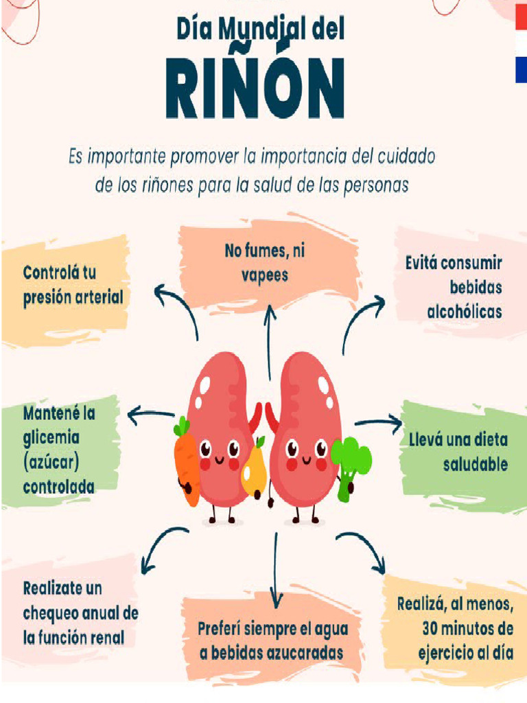 Dia Del Riñon | PDF