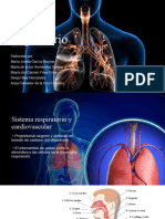 Sistema Respiratorio y Cardiovascular