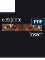 E.explore - Insect