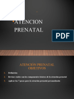 Atención Prenatal