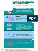 Infográfico Grupo 10 - Respostas Imunes Aos Fungos