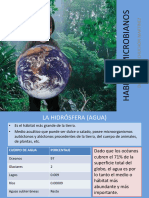 Clase 9 Microbiología Ambiental 2023-I