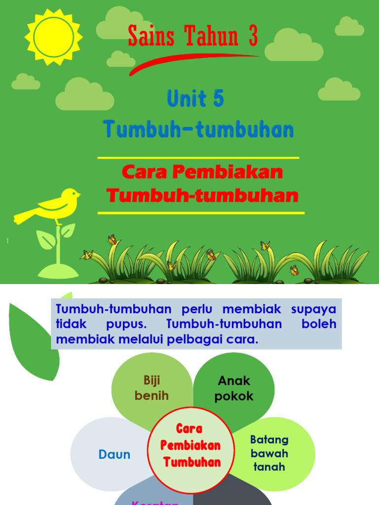 Cara Pembiakan Tumbuhan Pdf