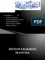 Sistem Eksresi