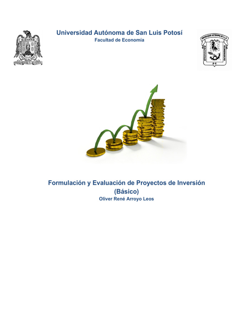 Guía Básica de Proyectos de Inversión | PDF | Business | Contabilidad
