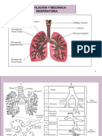 Mecanica Respiratoria (I)