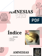 Amnesias