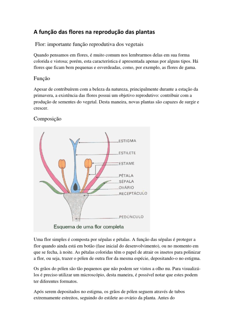 A função das flores na reprodução das plantas | Pólen | Flores
