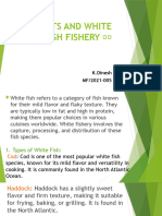 Pomfrets and White Fish Fishery
