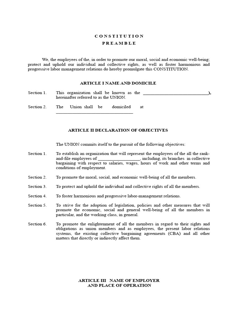 Sample Union Constitution and Bylaws | PDF | Board Of Directors ...