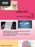 Endobase y Exobase | PDF | Cráneo | Cabeza y cuello humanos