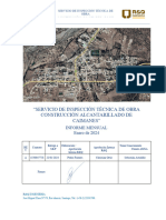 Inf. Mensual - Caimanes - Enero 22.01