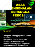 Asas Pengenalan Serangga Perosak Sab Edited 27jan2021