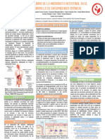 Desequilibrio de La Microbiota Intestinal en El Desarrollo de Enfermeddades Crónicas