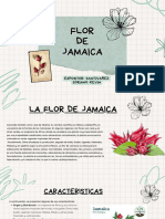Flor de Jamaica - Kevin Santivañez Soriano