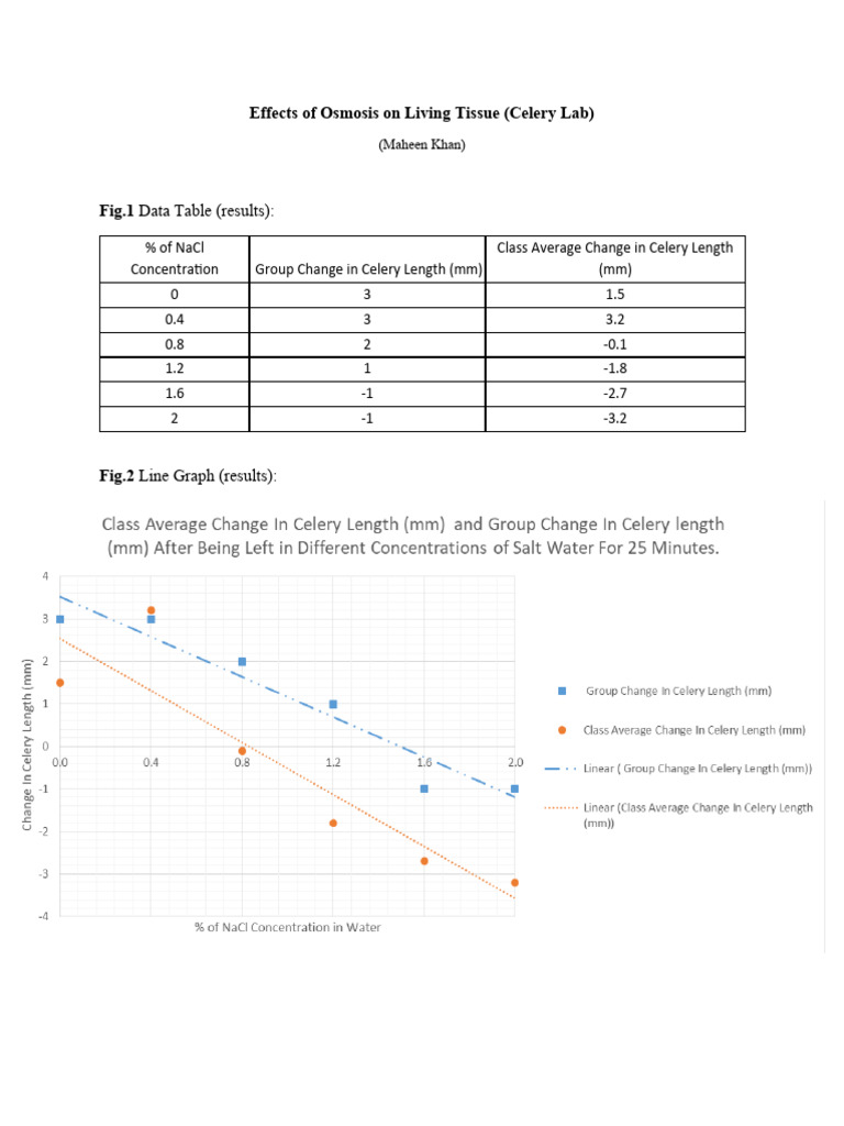 Effects of Osmosis On Living Tissue (Celery Lab) PDF Osmosis