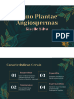 Reino Plantae - Angiospermas