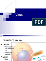 Virus