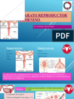 Aparato Reproductor Femenino