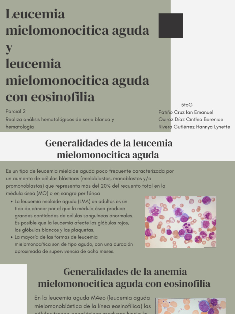 Leucemia Mielomonocítica Aguda y M4eo | PDF | Leucemia | Medicina CLINICA