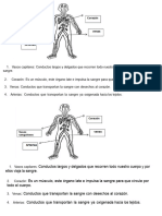 GUIA_2_ORGANOS_Y_SENTIDOS_96339_20240229_20180314_105747.DOC