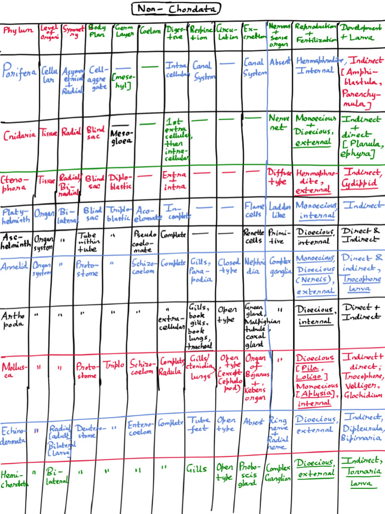 ANIMAL KINGDOM TABLE PDF visual data 7