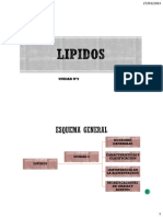 Lipidos - Apunte Consolidado