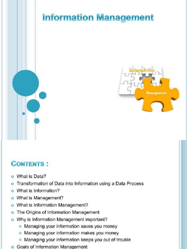 Information Management Topic 1 | PDF