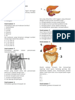 Sistem Pencernaan Makanan