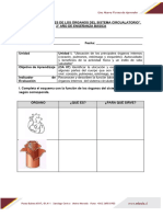 Guia 4 Funciones de Los Organos Del Sistema Circulatorio 96341 20240229 20180314 110043