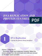 DNA Replication and Protein Synthesis