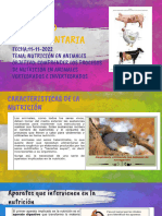 Nutricion en Animales PDF