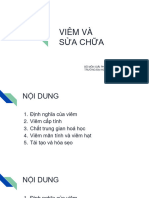 Viêm Và Sửa Chữa: Bộ Môn Giải Phẫu Bệnh - Pháp Y Trường Đại Học Y Khoa Phạm Ngọc Thạch