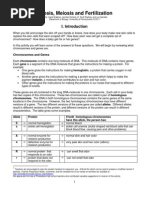 Download Mitosis Meiosis Protocol by sturmtrupp89 SN71477343 doc pdf