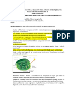 PDIII Cuestionario Presentacion Fotosintesis
