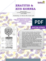 Keratitis & Ulkus Kornea (Dr. Oktarina, SP.M) - La Venice Tarakanita Tuerah