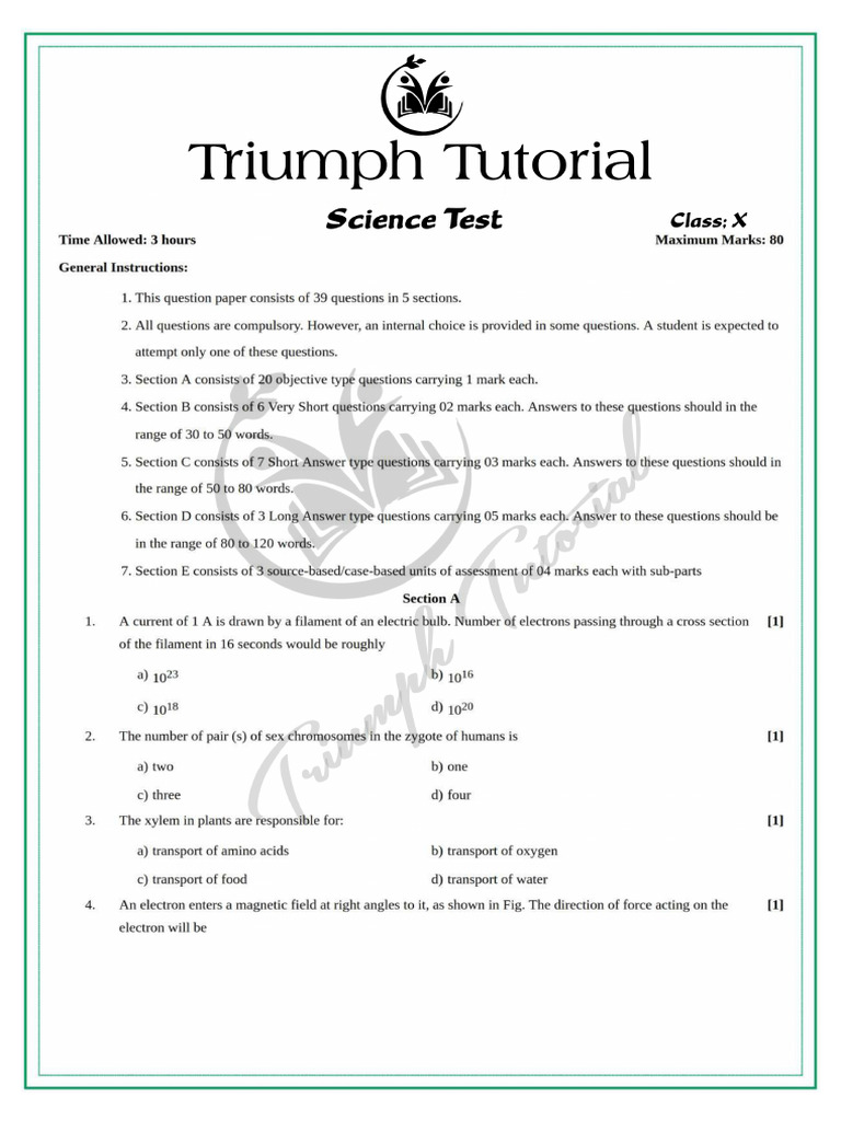 Science Test 10 | PDF